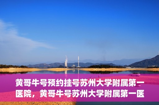 黄哥牛号预约挂号苏州大学附属第一医院，黄哥牛号苏州大学附属第一医院预约挂号攻略