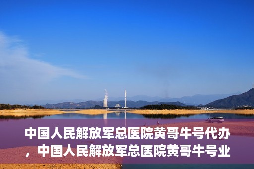 中国人民解放军总医院黄哥牛号代办，中国人民解放军总医院黄哥牛号业务代办揭秘