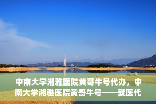 中南大学湘雅医院黄哥牛号代办，中南大学湘雅医院黄哥牛号——就医代办服务详解