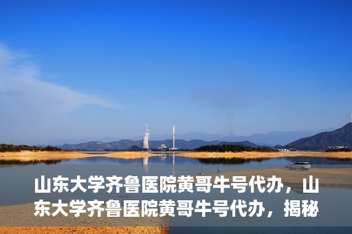 山东大学齐鲁医院黄哥牛号代办，山东大学齐鲁医院黄哥牛号代办，揭秘背后的故事与真相
