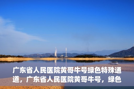 广东省人民医院黄哥牛号绿色特殊通道，广东省人民医院黄哥牛号，绿色特殊通道开启健康之门