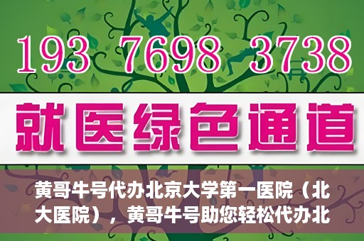 黄哥牛号代办北京大学第一医院（北大医院），黄哥牛号助您轻松代办北大医院事务，一站式服务开启就医新篇章