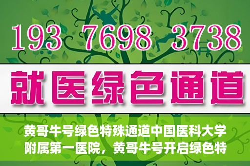 黄哥牛号绿色特殊通道中国医科大学附属第一医院，黄哥牛号开启绿色特殊通道，中国医科大学附属第一医院助力健康中国行动
