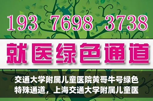 交通大学附属儿童医院黄哥牛号绿色特殊通道，上海交通大学附属儿童医院黄哥牛号绿色特殊通道揭秘