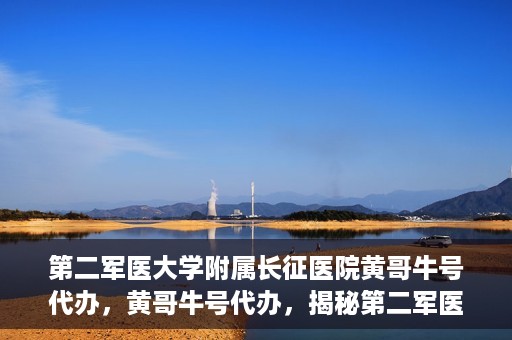 第二军医大学附属长征医院黄哥牛号代办，黄哥牛号代办，揭秘第二军医大学附属长征医院的医疗服务新篇章