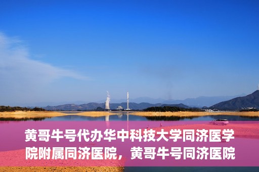 黄哥牛号代办华中科技大学同济医学院附属同济医院，黄哥牛号同济医院代办服务，专业助力就医无忧！