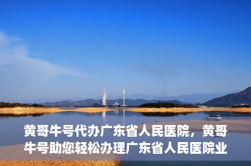 黄哥牛号代办广东省人民医院，黄哥牛号助您轻松办理广东省人民医院业务手续
