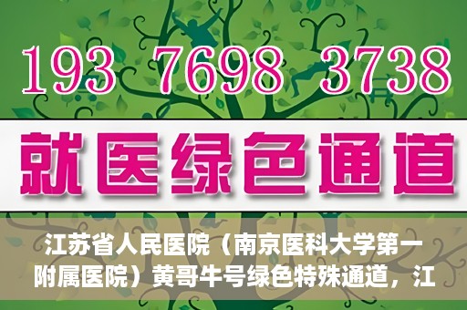江苏省人民医院（南京医科大学第一附属医院）黄哥牛号绿色特殊通道，江苏省人民医院绿色特殊通道，黄哥牛号的医疗速度与温情服务