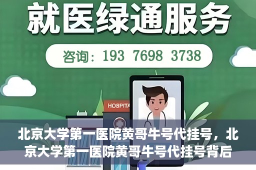北京大学第一医院黄哥牛号代挂号，北京大学第一医院黄哥牛号代挂号背后的故事与真相探索
