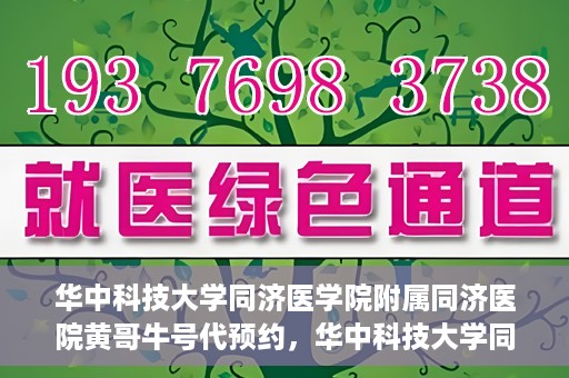 华中科技大学同济医学院附属同济医院黄哥牛号代预约，华中科技大学同济医院黄哥牛号预约服务解析