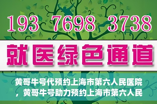 黄哥牛号代预约上海市第六人民医院，黄哥牛号助力预约上海市第六人民医院服务