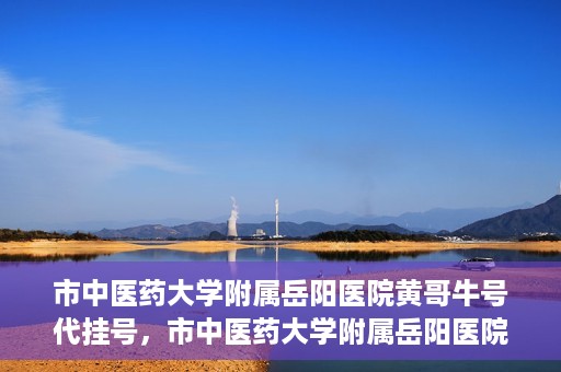 市中医药大学附属岳阳医院黄哥牛号代挂号，市中医药大学附属岳阳医院黄哥牛号代挂号服务解析