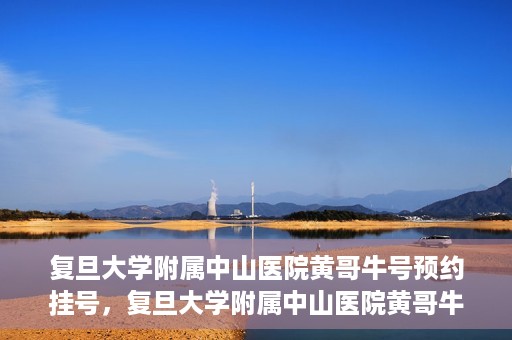 复旦大学附属中山医院黄哥牛号预约挂号，复旦大学附属中山医院黄哥牛号预约挂号攻略解析