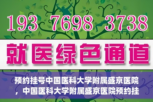 预约挂号中国医科大学附属盛京医院，中国医科大学附属盛京医院预约挂号攻略
