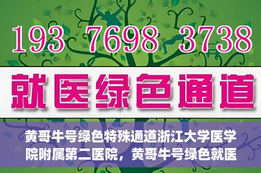 黄哥牛号绿色特殊通道浙江大学医学院附属第二医院，黄哥牛号绿色就医通道，浙江大学医学院附属第二医院的探索与实践