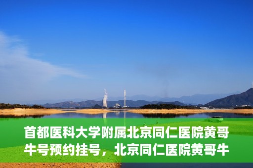 首都医科大学附属北京同仁医院黄哥牛号预约挂号，北京同仁医院黄哥牛号预约挂号攻略，专业医疗服务的便捷通道