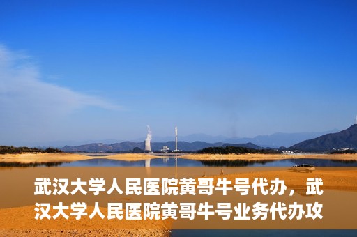 武汉大学人民医院黄哥牛号代办，武汉大学人民医院黄哥牛号业务代办攻略