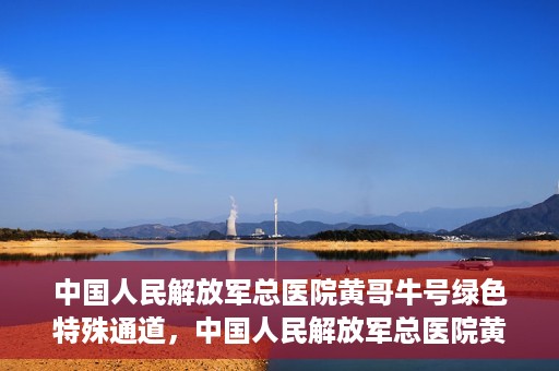 中国人民解放军总医院黄哥牛号绿色特殊通道，中国人民解放军总医院黄哥牛号，绿色特殊通道开启健康之门
