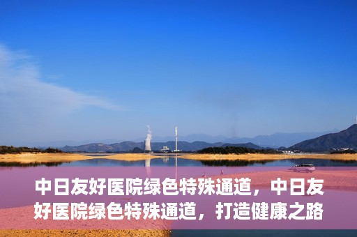 中日友好医院绿色特殊通道，中日友好医院绿色特殊通道，打造健康之路的新篇章