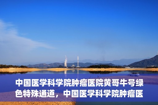 中国医学科学院肿瘤医院黄哥牛号绿色特殊通道，中国医学科学院肿瘤医院黄哥牛号，绿色特殊通道开启健康之门