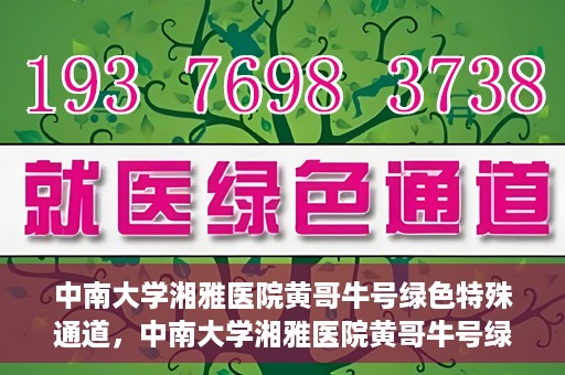 中南大学湘雅医院黄哥牛号绿色特殊通道，中南大学湘雅医院黄哥牛号绿色特殊通道，医疗服务的创新实践与人文关怀的体现