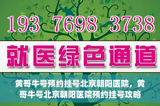 黄哥牛号预约挂号北京朝阳医院，黄哥牛号北京朝阳医院预约挂号攻略