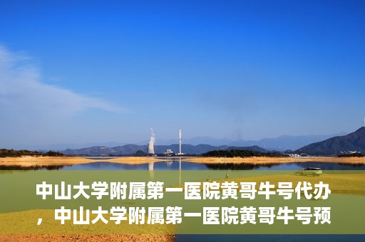 中山大学附属第一医院黄哥牛号代办，中山大学附属第一医院黄哥牛号预约挂号代办攻略