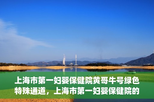 上海市第一妇婴保健院黄哥牛号绿色特殊通道，上海市第一妇婴保健院的绿色特殊通道，黄哥牛号行动启动