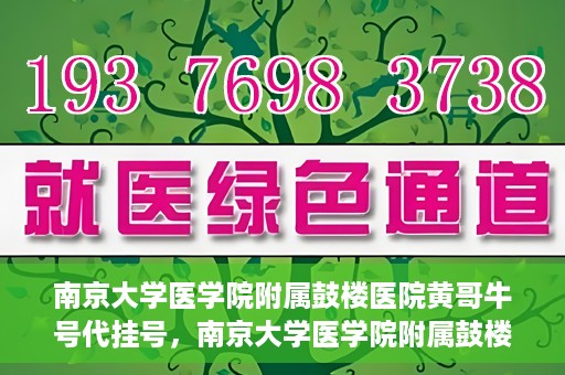 南京大学医学院附属鼓楼医院黄哥牛号代挂号，南京大学医学院附属鼓楼医院黄哥牛号代挂号解析，专业解读与预约攻略