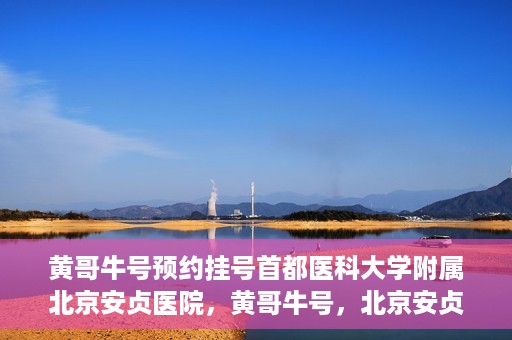 黄哥牛号预约挂号首都医科大学附属北京安贞医院，黄哥牛号，北京安贞医院预约挂号攻略
