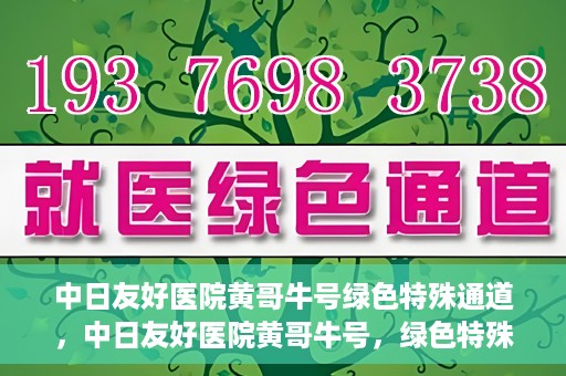 中日友好医院黄哥牛号绿色特殊通道，中日友好医院黄哥牛号，绿色特殊通道开启健康之门