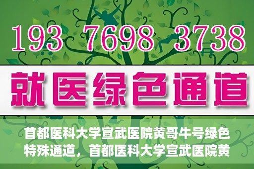 首都医科大学宣武医院黄哥牛号绿色特殊通道，首都医科大学宣武医院黄哥牛号，绿色特殊通道开启健康之门