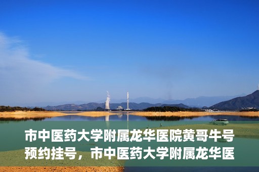 市中医药大学附属龙华医院黄哥牛号预约挂号，市中医药大学附属龙华医院黄哥牛号预约挂号攻略揭秘