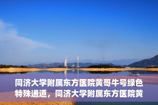 同济大学附属东方医院黄哥牛号绿色特殊通道，同济大学附属东方医院黄哥牛号，绿色特殊通道开启健康之门