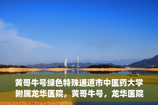 黄哥牛号绿色特殊通道市中医药大学附属龙华医院，黄哥牛号，龙华医院绿色特殊通道助健康之路