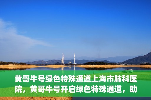 黄哥牛号绿色特殊通道上海市肺科医院，黄哥牛号开启绿色特殊通道，助力上海市肺科医院高效就医体验