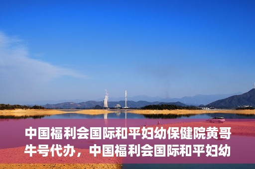 中国福利会国际和平妇幼保健院黄哥牛号代办，中国福利会国际和平妇幼保健院黄哥牛号业务代办全解析