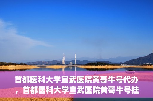 首都医科大学宣武医院黄哥牛号代办，首都医科大学宣武医院黄哥牛号挂号代办攻略