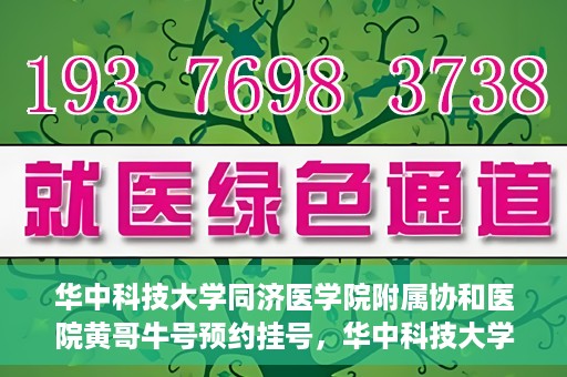 华中科技大学同济医学院附属协和医院黄哥牛号预约挂号，华中科技大学同济医学院附属协和医院黄哥牛号预约挂号攻略解析