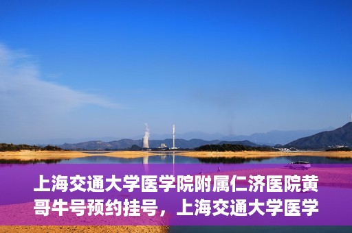 上海交通大学医学院附属仁济医院黄哥牛号预约挂号，上海交通大学医学院附属仁济医院黄哥牛号预约挂号攻略