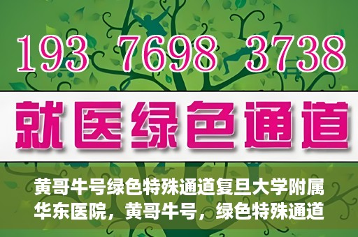 黄哥牛号绿色特殊通道复旦大学附属华东医院，黄哥牛号，绿色特殊通道揭秘，华东医院新篇章开启