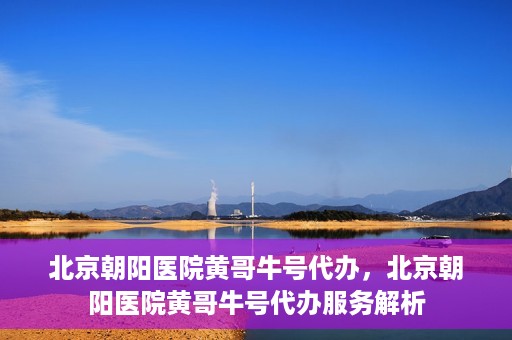 北京朝阳医院黄哥牛号代办，北京朝阳医院黄哥牛号代办服务解析