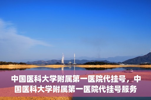 中国医科大学附属第一医院代挂号，中国医科大学附属第一医院代挂号服务详解