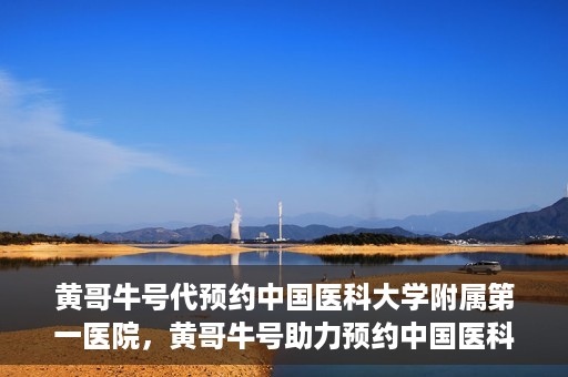 黄哥牛号代预约中国医科大学附属第一医院，黄哥牛号助力预约中国医科大学附属第一医院专家号