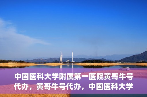 中国医科大学附属第一医院黄哥牛号代办，黄哥牛号代办，中国医科大学附属第一医院挂号服务新动向