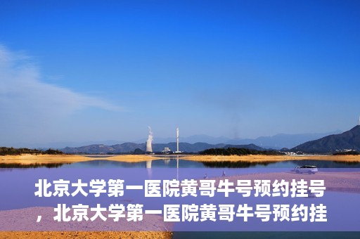 北京大学第一医院黄哥牛号预约挂号，北京大学第一医院黄哥牛号预约挂号攻略，轻松挂号，无忧就医体验