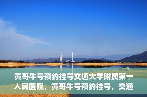 黄哥牛号预约挂号交通大学附属第一人民医院，黄哥牛号预约挂号，交通大学附属第一人民医院就医新体验
