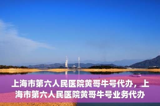 上海市第六人民医院黄哥牛号代办，上海市第六人民医院黄哥牛号业务代办攻略