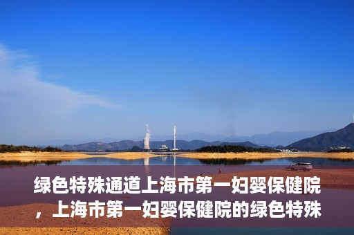 绿色特殊通道上海市第一妇婴保健院，上海市第一妇婴保健院的绿色特殊通道，守护母婴健康的坚实屏障