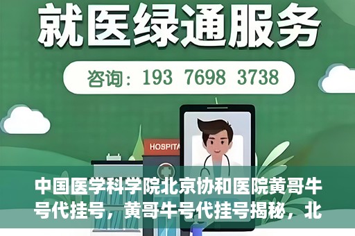 中国医学科学院北京协和医院黄哥牛号代挂号，黄哥牛号代挂号揭秘，北京协和医院挂号背后的故事
